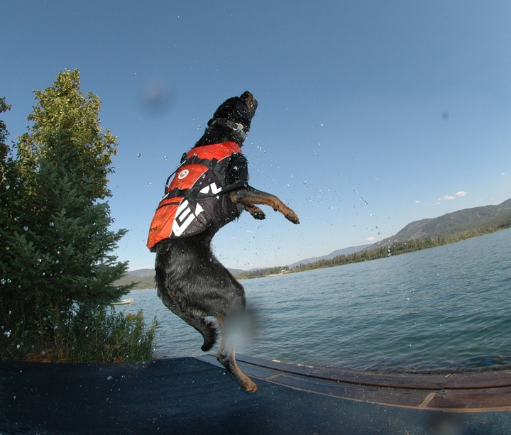 Kamizelka Ezydog Life Jacket XXS 22 - 30 cm czerwona (5708214954021) - obraz 5