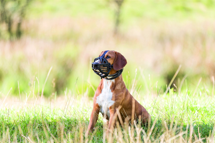 Намордник Trixie Muzzle Flex для собак, силіконовий, L-XL Чорний (4047974176153) - зображення 8