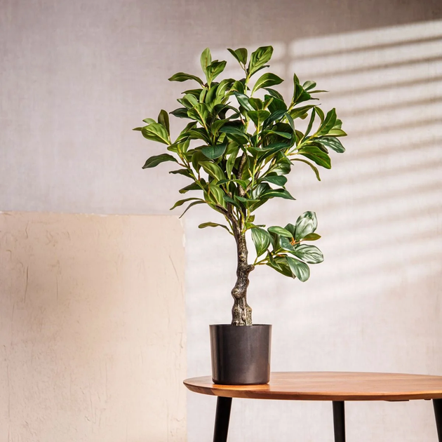 Sztuczna roślina Homla Tropical Zone Surmia 65 cm (5906496740572) - obraz 5