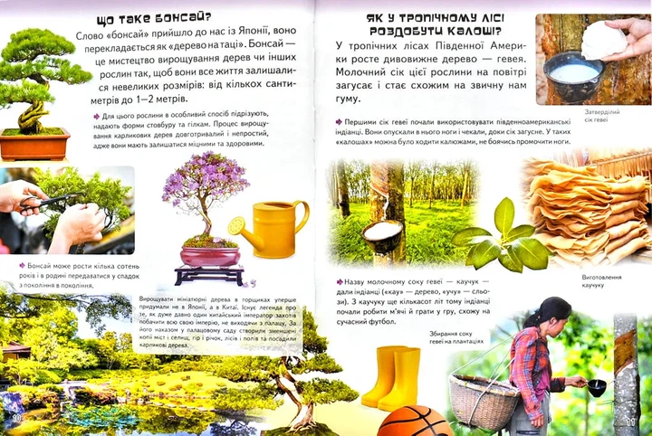 Велика дитяча енциклопедія у запитаннях і відповідях - Фото 6 Велика дитяча енциклопедія у запитаннях і відповідях - изображение 6
