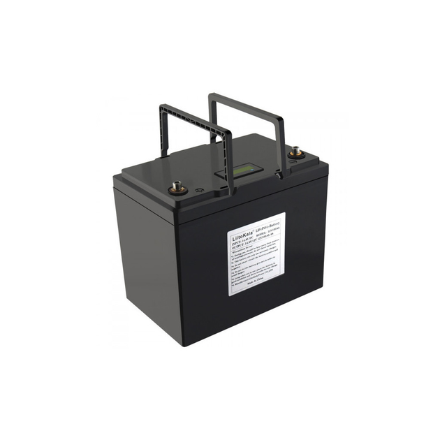 Батарея LiFePo4 Liitokala LiFePO4 12V-100Ah LCD (12V 100Ah LiFePO4 LCD) - изображение 2