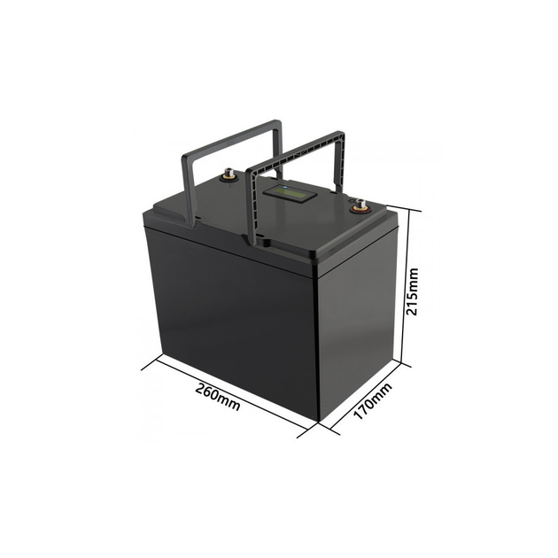 Батарея LiFePo4 Liitokala LiFePO4 12V-100Ah LCD (12V 100Ah LiFePO4 LCD) - изображение 3