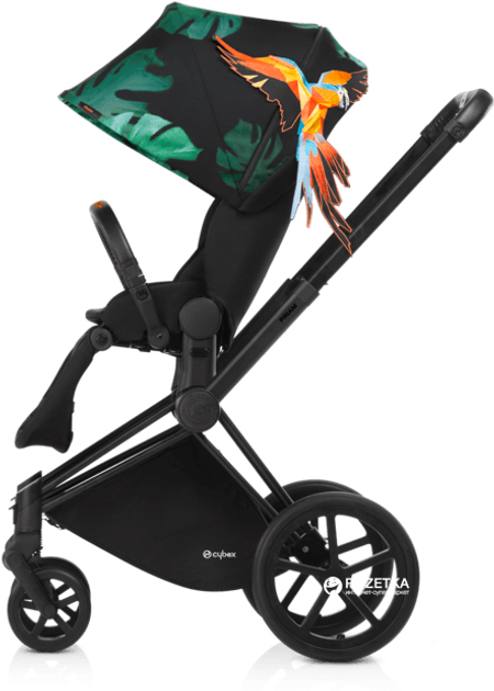 Cybex 2025 priam paradise