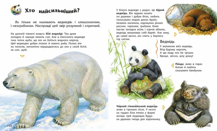 Енциклопедія дошкільника (збірник) - изображение 2