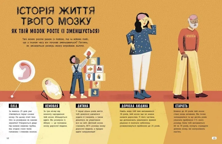 Дивовижний мозок. Ця книжка повна мізків: усілякі мізки та як вони працюють - Фото 6 Дивовижний мозок. Ця книжка повна мізків: усілякі мізки та як вони працюють - изображение 6