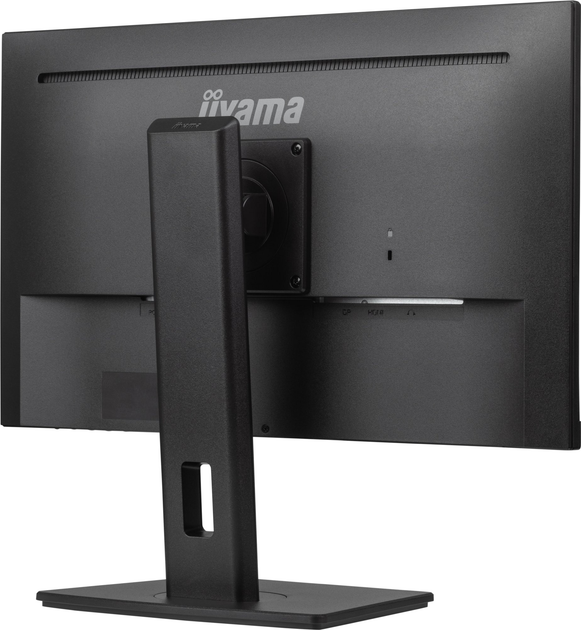 Monitor 23.8" Iiyama ProLite XUB2491H-B1 (4948570124763) - obraz 6