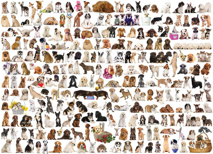 Puzzle EuroGraphics Świat psów 1000 elementów (628136605816) - obraz 2