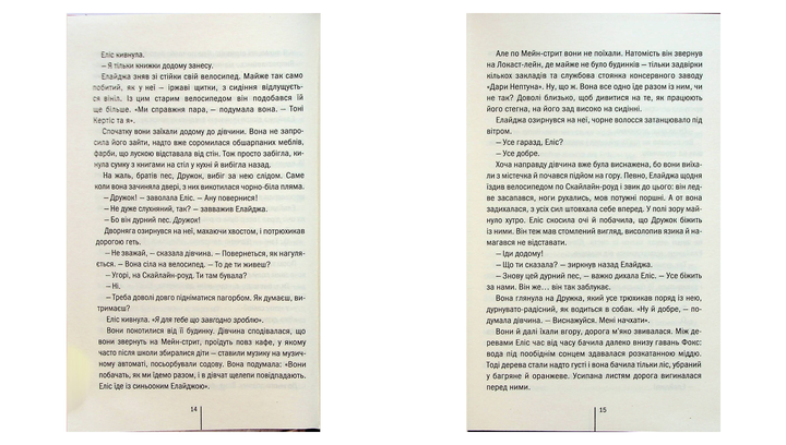 Книга Двойник. Книга 4 Тесс Герритсен - изображение 5