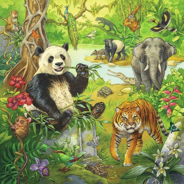Пазл Ravensburger Animals 3x49 шт (10105180) (4005556051809) - зображення 4