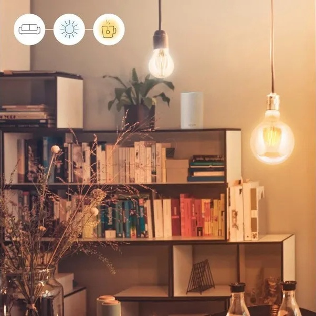 Inteligentna żarówka WIZ Whites G125 E27 WiFi 6.5 W (4897104950906) - obraz 3