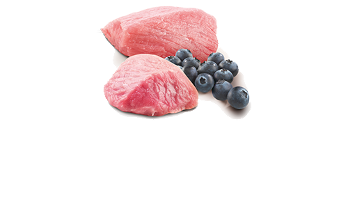 Влажный беззерновой корм Farmina Grain Free Prime Lamb Adult для котов (ягненок) 70 г (арт 160600) - изображение 2