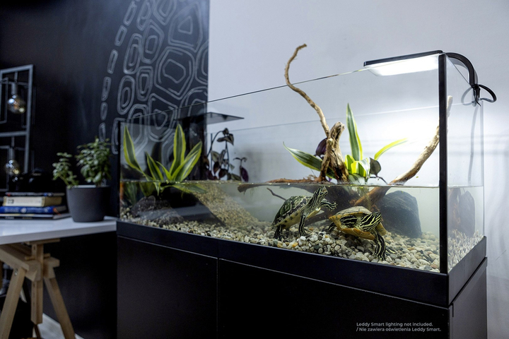 AquaTerrarium AquaEl 80 (5905546329231) - obraz 5