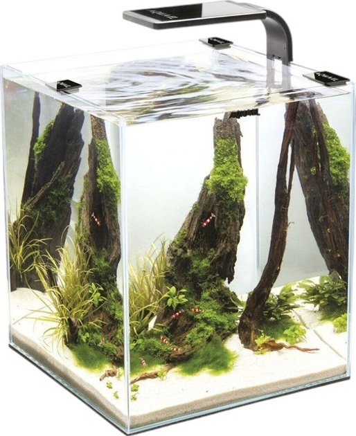 Акваріумний набір AquaEl Shrimp Set Smart Day&Night 20 Black (5905546326216) - зображення 1