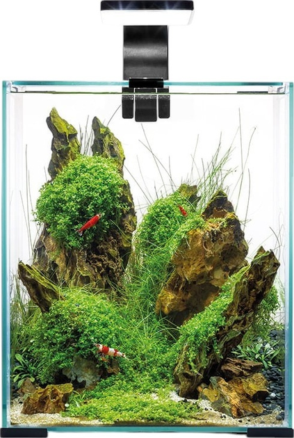 Zestaw akwariowy AquaEl Shrimp Set Smart Day&Night 10 Black (5905546326193) - obraz 2