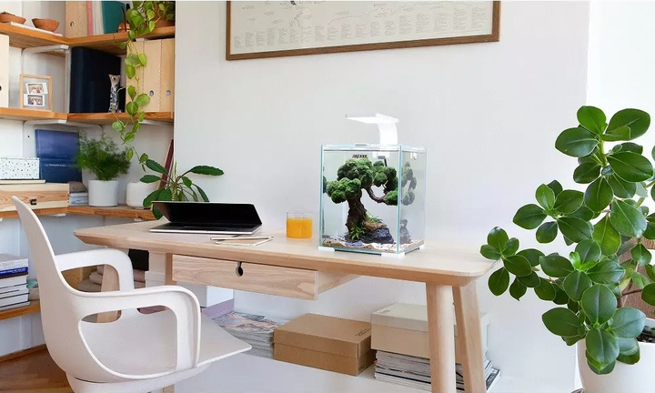 Акваріумний набір AquaEl Shrimp Set Smart Day&Night 20 White (5905546326223) - зображення 5