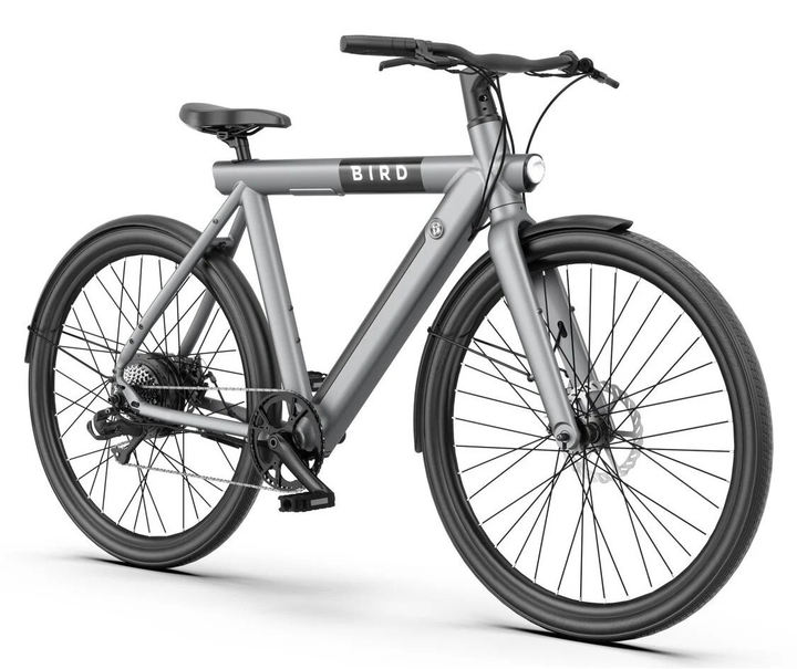 Електровелосипед BIRD Urban 1.0 M22 28 дюймів Сірий (0810029161916) - зображення 1