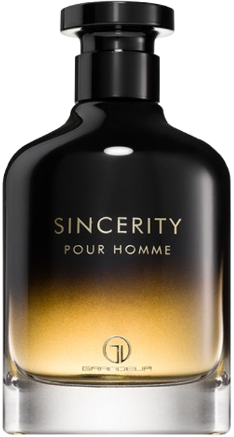 Парфумована вода для чоловіків Grandeur Sincerity Pour Homme 100 мл (5055810038533) - зображення 1
