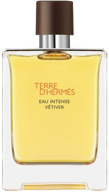 Woda perfumowana męska Hermes Terre D'Hermes Eau Intense Vetiver 200 ml (3346131431618) - obraz 1