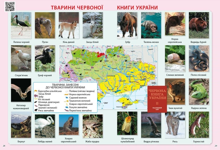 НУШ Я досліджую світ. 3 клас. Атлас (9786170962454) - изображение 7