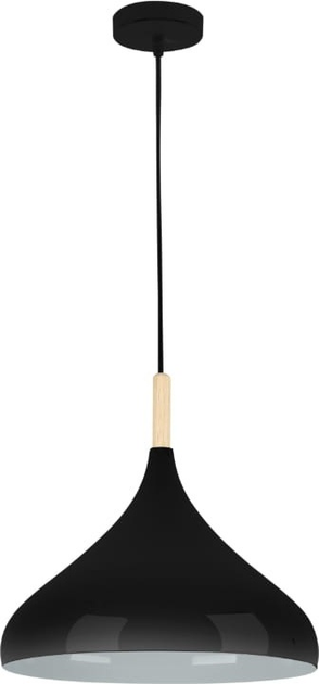 Підвісна люстра DPM SL-0021 E27 Black (5906881231722) - зображення 1