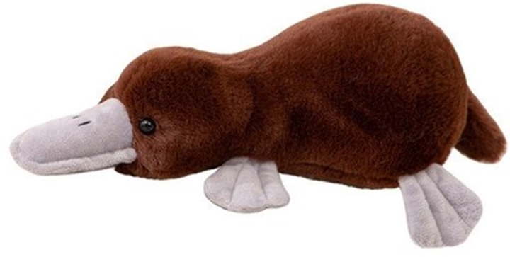 Maskotka-przytulanka Lean Toys Dziobak Brązowy 32 cm 22181 (5905991045373) - obraz 1