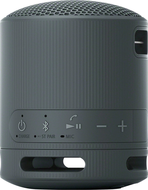Акустична система Sony SRS-XB100 Black (4548736146129) - зображення 3