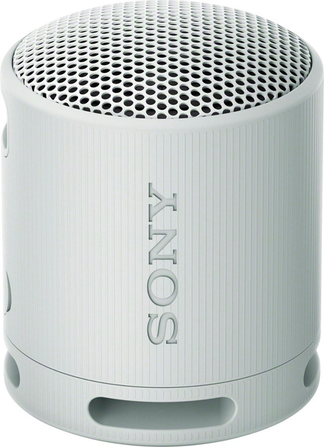 Głośnik przenośny Sony SRS-XB100 Light Grey (4548736146136) - obraz 1