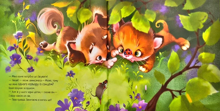 Кошеня і Сонечко - Фото 6 Кошеня і Сонечко - изображение 6