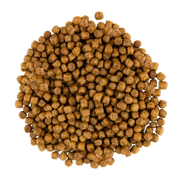 Sucha karma dla kociąt Savory z kurczakiem i indykiem 8 kg  (4820232630150) - obraz 2