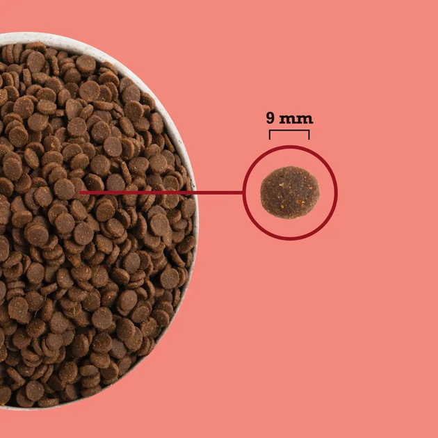 Сухой корм для котов Acana Highest Protein Indoor Cat Recipe беззерновой для взрослых и домашних 4.5 кг (a72398) - изображение 4