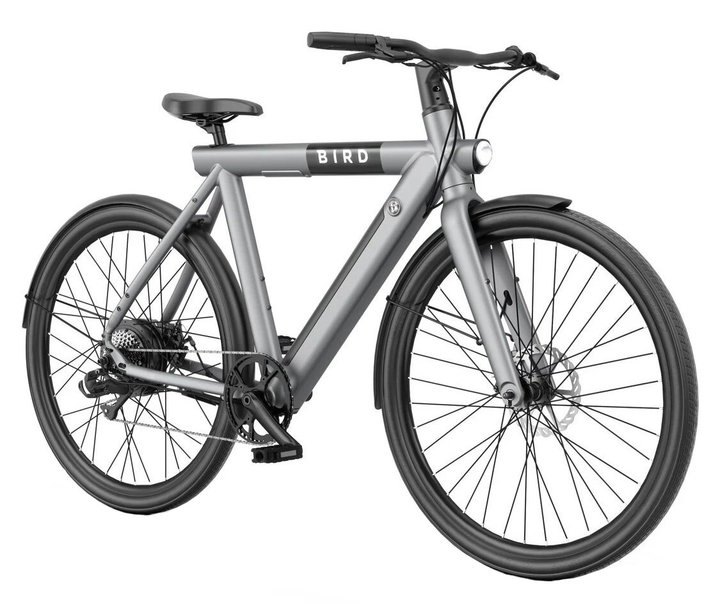 Rower elektryczny BIRD Urban 1.0 M22 28 cali Szary (0810029161916) - obraz 1