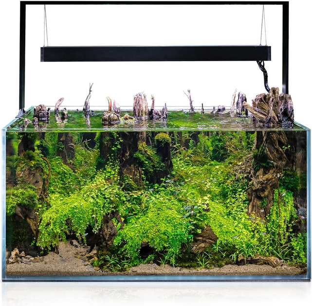 Zestaw akwariowy Aquael Ultrascape Forest Set 60 64.8 L (5905546327565) - obraz 10