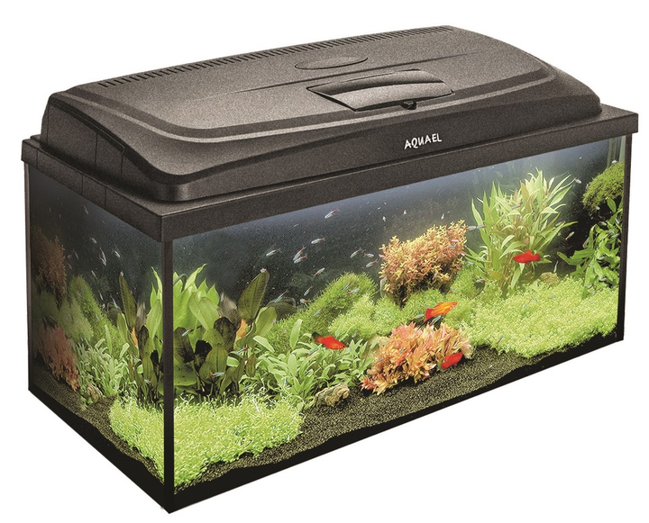 Zestaw akwariowy Aquael AQUA4 FAMILY 80/P D&N 112 L (5905546331074) - obraz 1