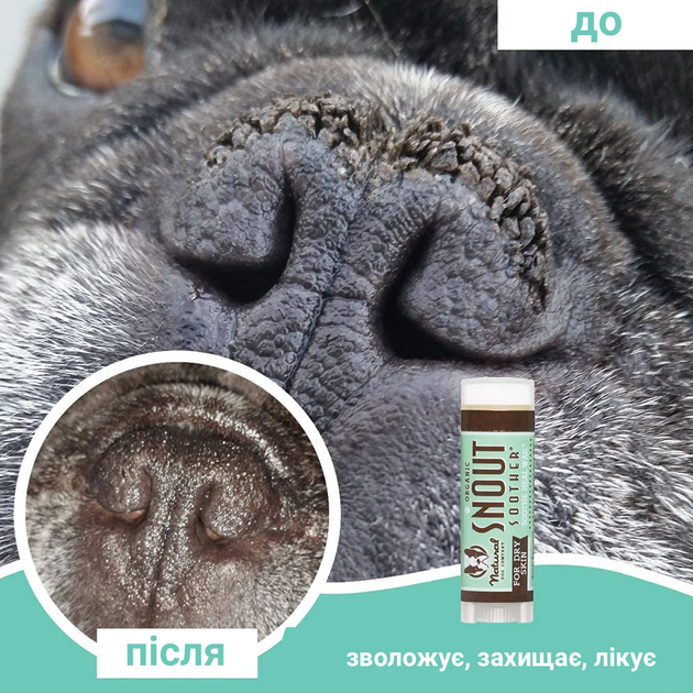 Бальзам для носика Snout Soother Natural Dog Company 4.25мл стик (ND-SNSR-01) - Фото 4 Бальзам для носика Snout Soother Natural Dog Company 4.25мл стик (ND-SNSR-01) - зображення 4
