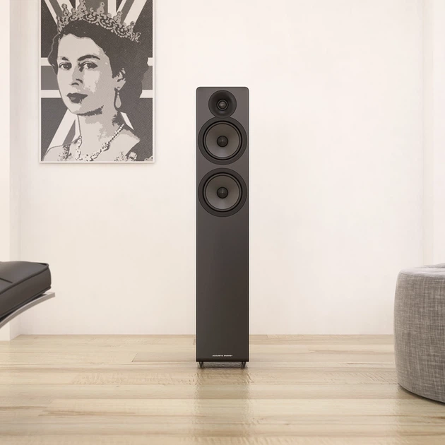 Підлогова акустична система Acoustic Energy AE109² Satin Black - изображение 3