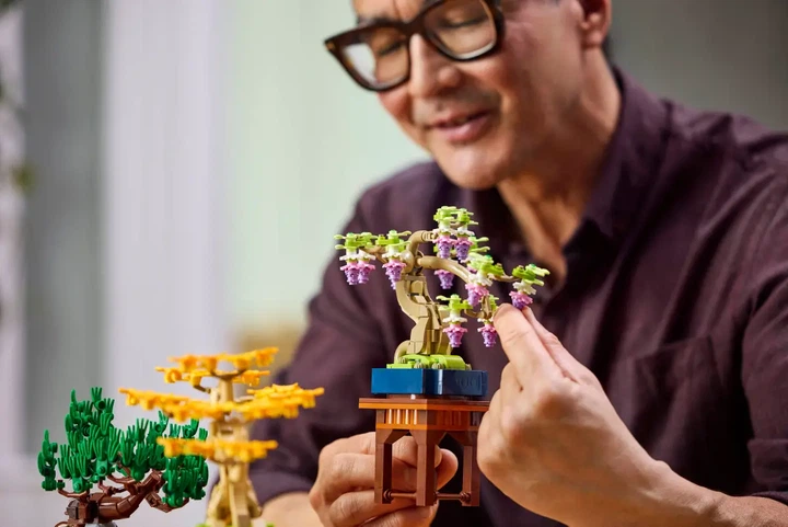 Конструктор LEGO Botanicals Мини-деревья бонсай 709 деталей (10373