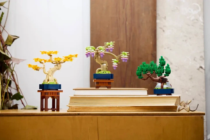 Конструктор LEGO Botanicals Мінідерева бонсай 709 деталей (10373) - зображення 10