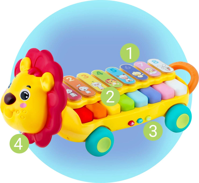Zabawka edukacyjna cymbałki Ricokids Ksylofon Lewek RK-740 (5903890616328) - obraz 5