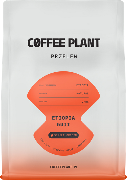 Kawa ziarnista Coffee Plant Etiopia Guji Filter 250 g (5904800242187) - obraz 1