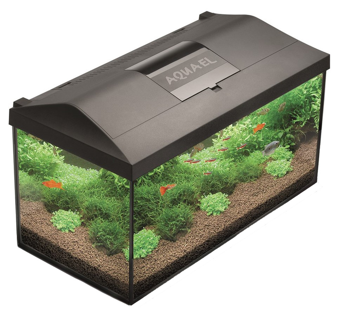 Акваріумний набір Aquael Leddy 60 BIOFS D&N 2.0 54 L Black (5905546333191) - зображення 1