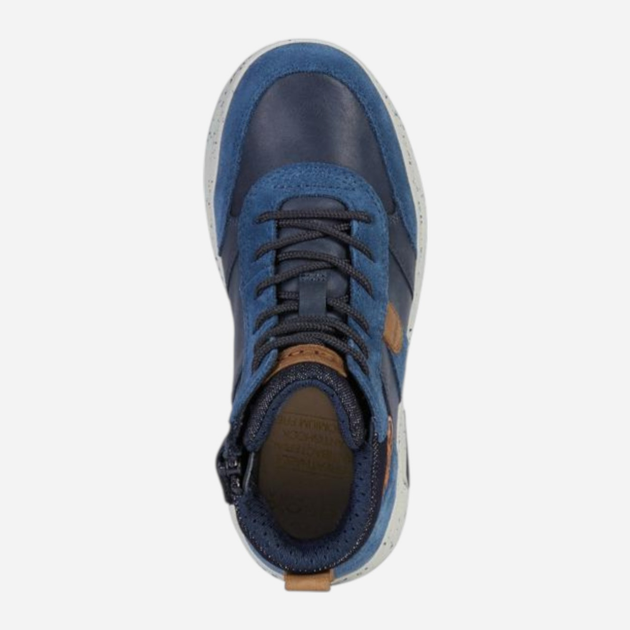 Дитячі кросівки для хлопчика Geox J04CXD0CL22-C0820 31 Темно-сині (8054730803082) - зображення 4