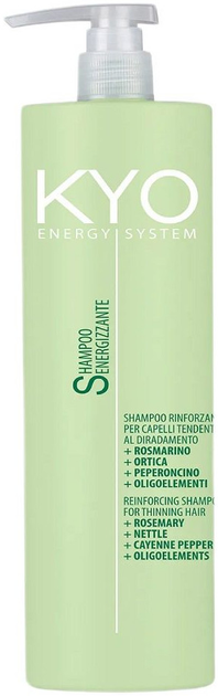 Szampon przeciw wypadaniu włosów Kyo Energy System oczyszczający 1000 ml (8031387002105) - obraz 1