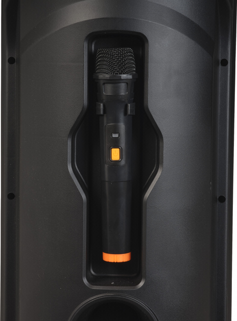 Przenośny głośnik Denver BPS-459 - obraz 6