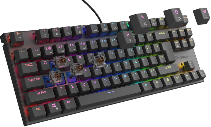 Клавіатура дротова Genesis Thor 303 TKL RGB Outemu Brown Black (5901969444568) - зображення 4