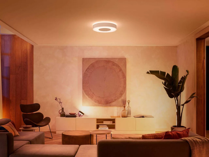 Стельовий світильник Philips Hue White and Colour Ambiance Infuse великий (8718696176511) - зображення 7