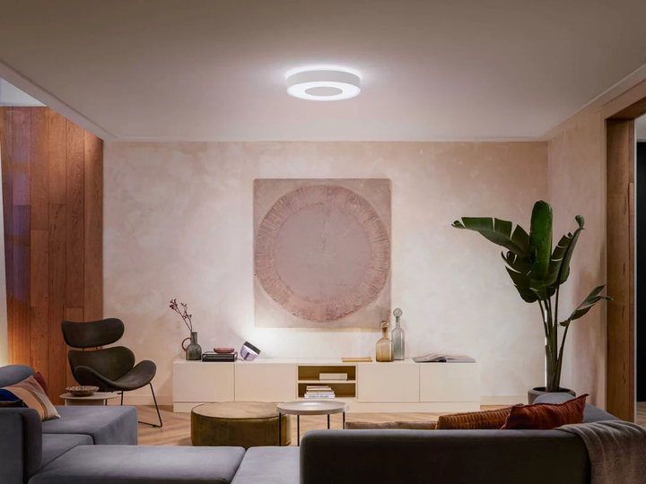 Стельовий світильник Philips Hue White and Colour Ambiance Infuse великий (8718696176511) - зображення 8