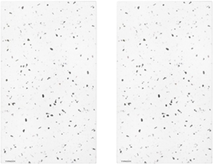 Zestaw podstawek pod naczynia Typhoon Elements Quartz 52.8 x 30.8 cm (ZES5010853285283) - obraz 1
