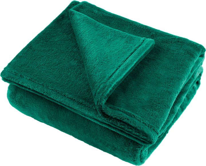 Koc Teesa polarowy zielony 200 x 220 cm (5901890070201) - obraz 2