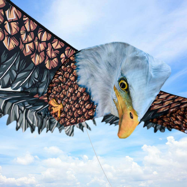 Latawiec Mikamax 3D Eagle Kite (8721154050087) - obraz 6