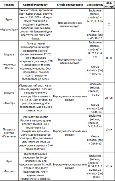 Набор семян Борщ 11 г Seedera - Фото 2 Набор семян Борщ 11 г Seedera - изображение 2